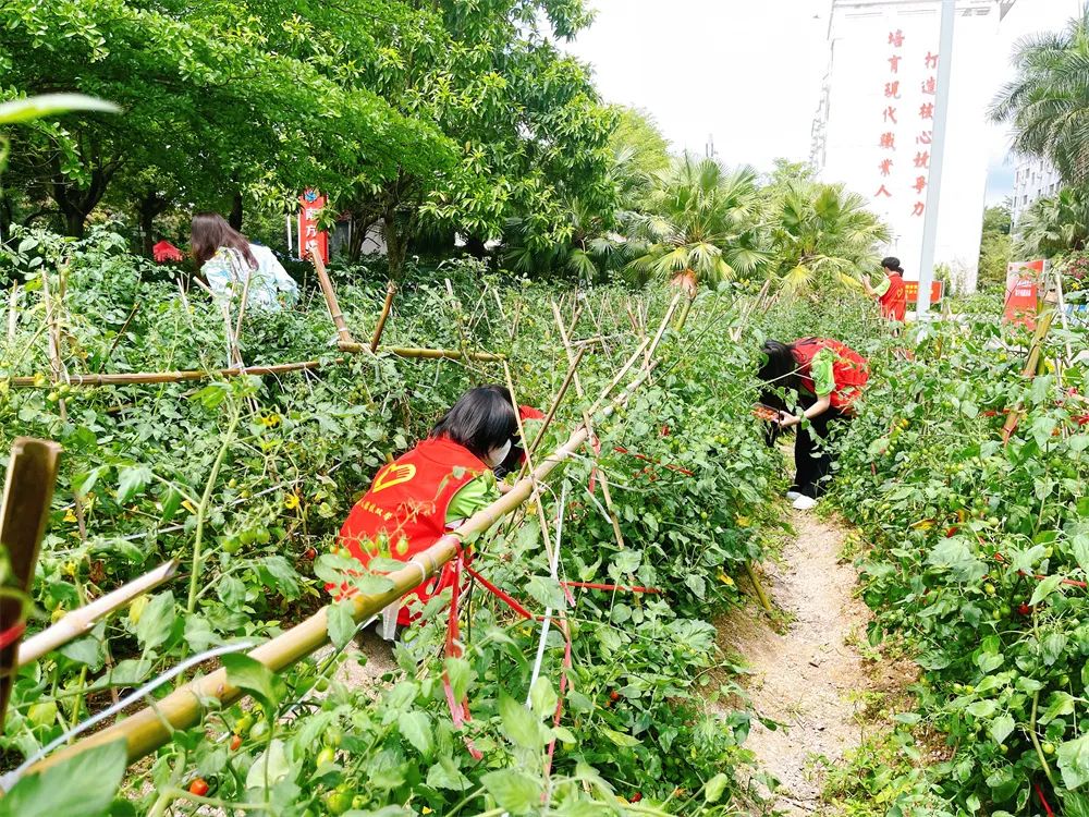 珠海南方爱迪技工学校