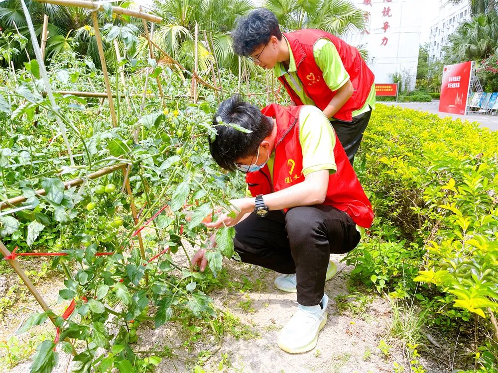 珠海南方爱迪技工